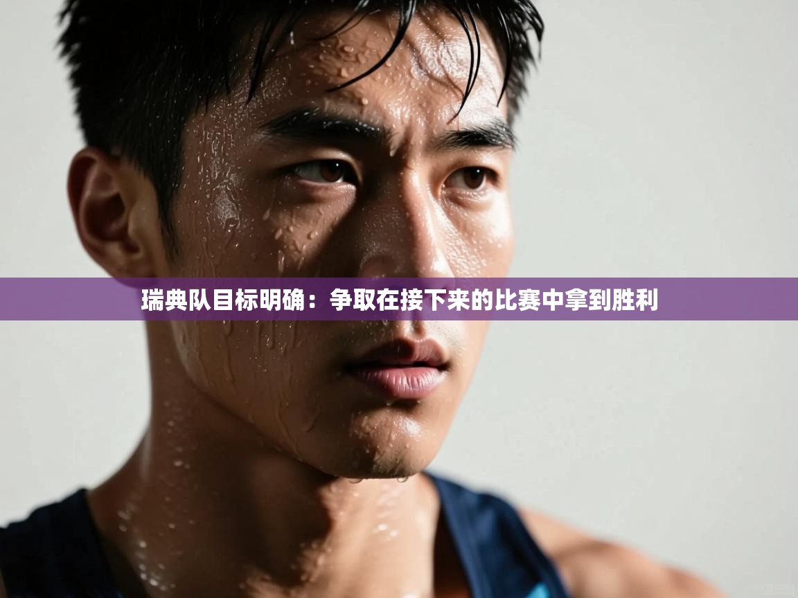 瑞典队目标明确：争取在接下来的比赛中拿到胜利  第1张